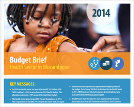 Budget brief: Health Sector in Mozambique